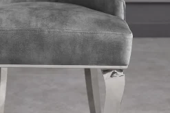 Stuhl MODERN BAROCK DELUXE grau Samt silber Edelstahlbeine mit Löwenkopf