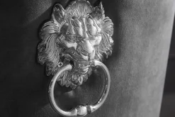 Stuhl MODERN BAROCK DELUXE grau Samt silber Edelstahlbeine mit Löwenkopf